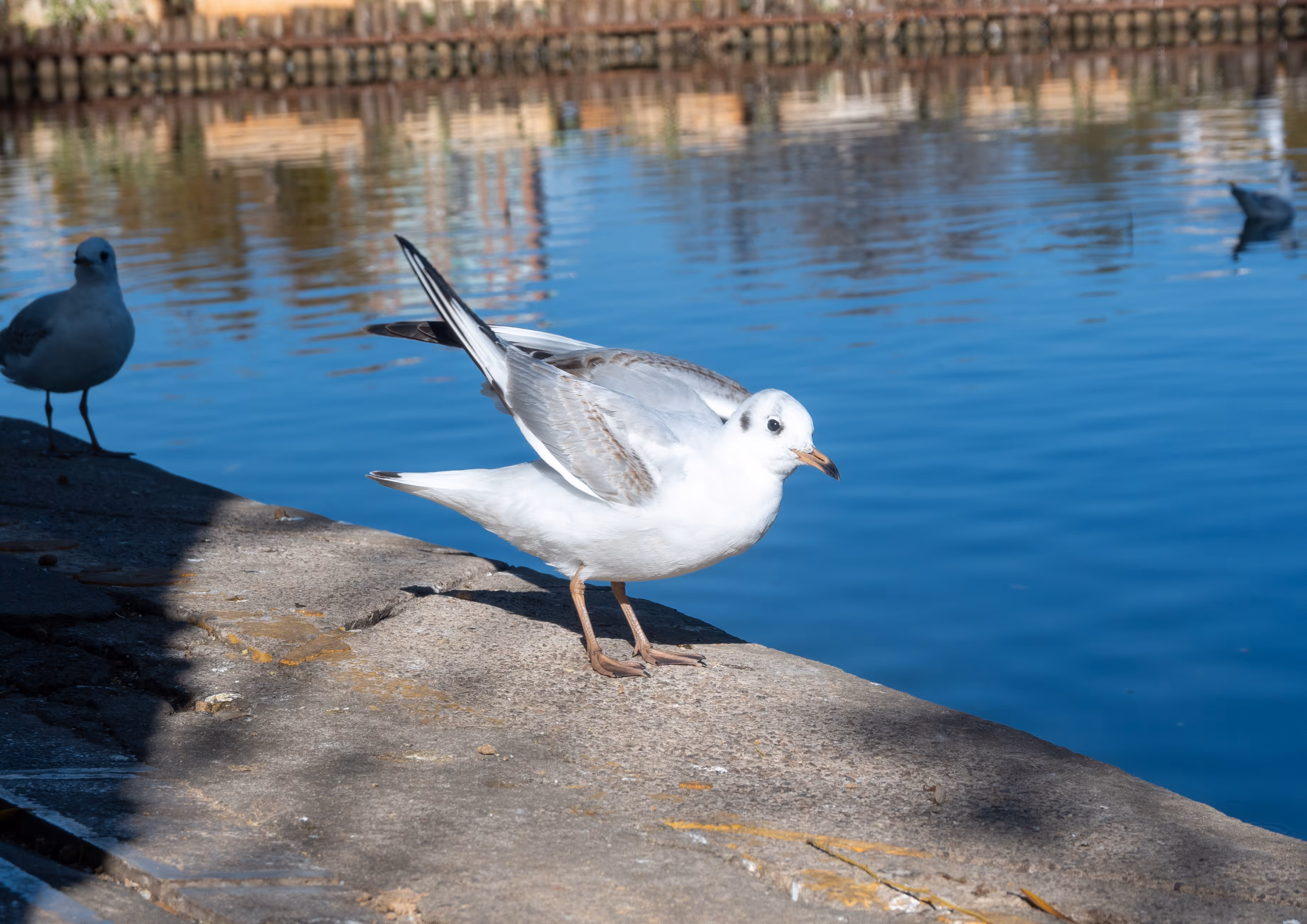 Image from ALL album